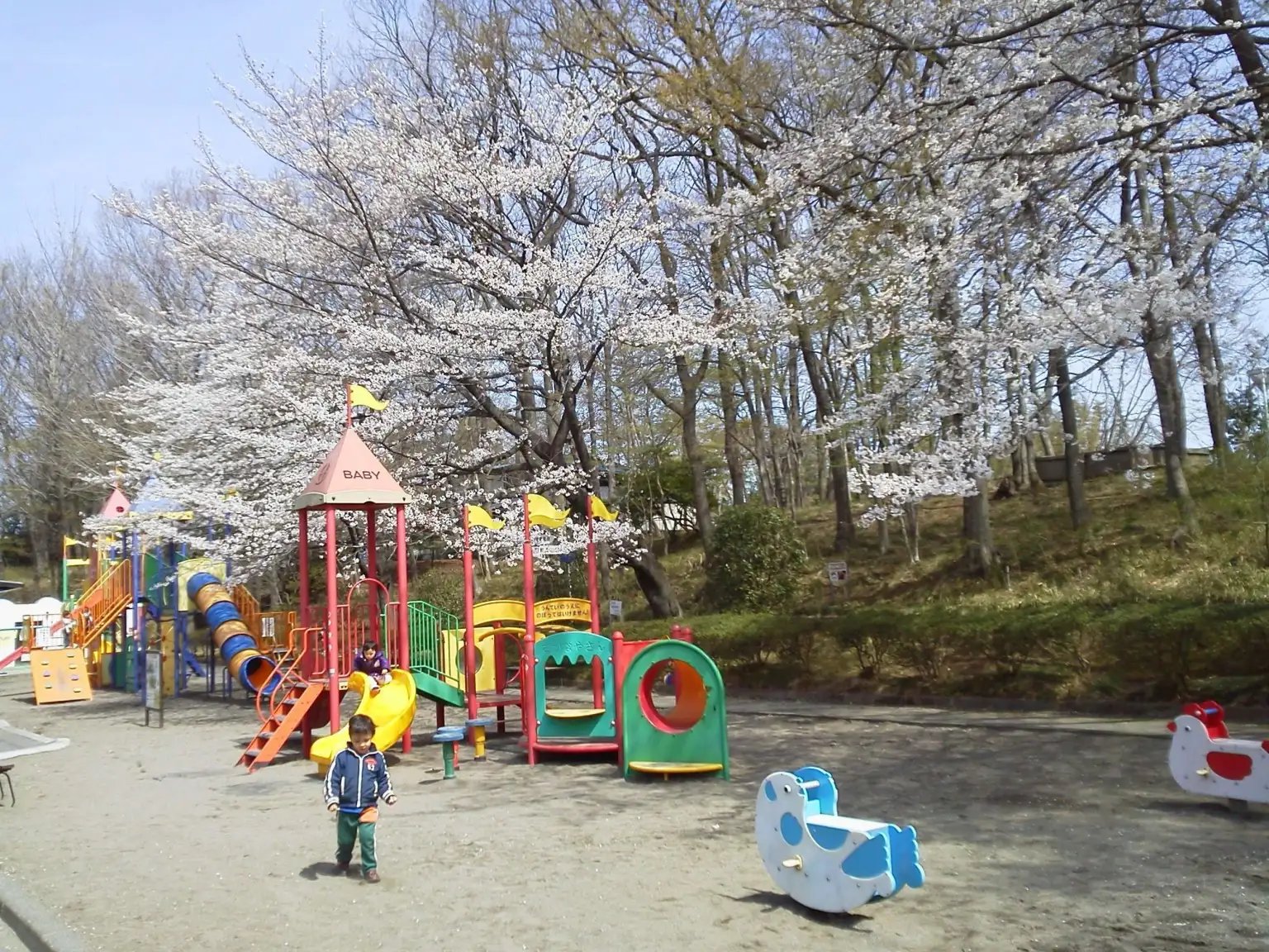 🌳 북 공원(키타 코엔) 이미지 4